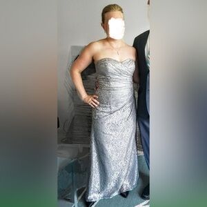 1 Sz 10P/8P Silver Lace Strapless Shiny/Sweetheart Fit & Flare Petite Slit, Long